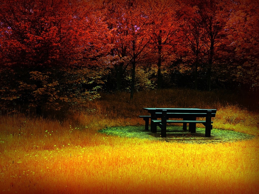Se avecina un otoño&nbsp;caliente