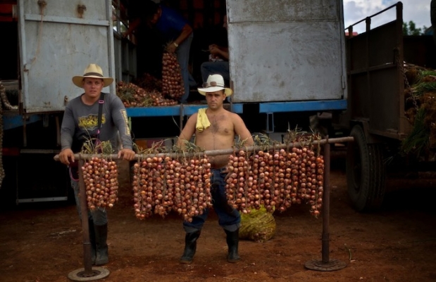 El mercado agrícola de la calle&nbsp;114
