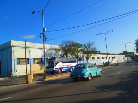 Otro fósil de El&nbsp;Vedado