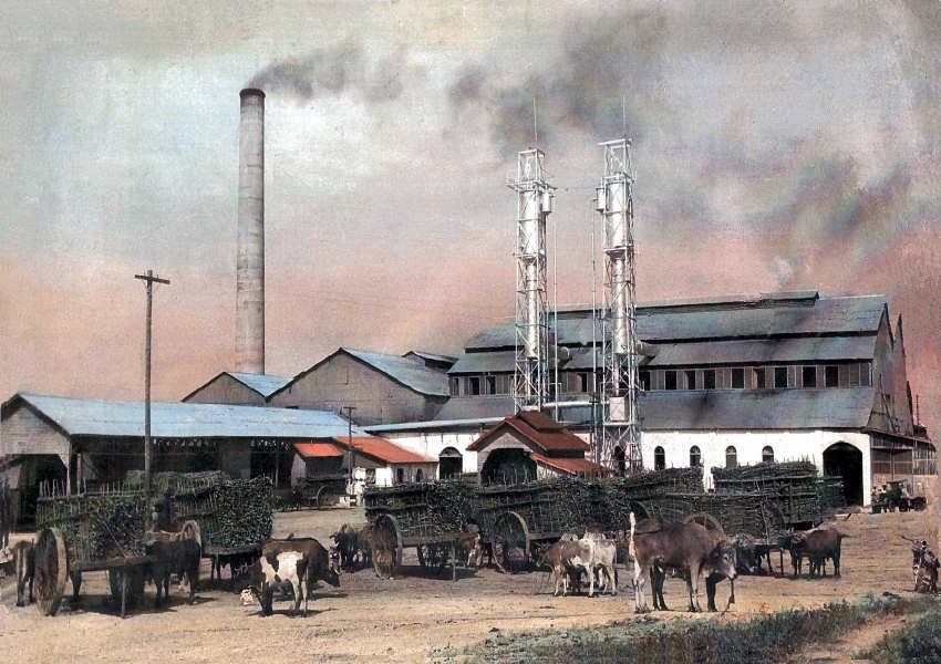 Azúcar amarga