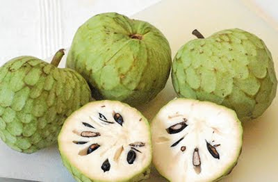 Chirimoya