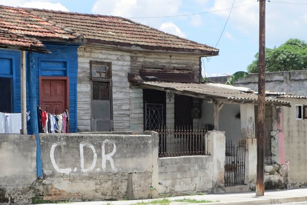 Maderas preciosas, solo para el&nbsp;dictador