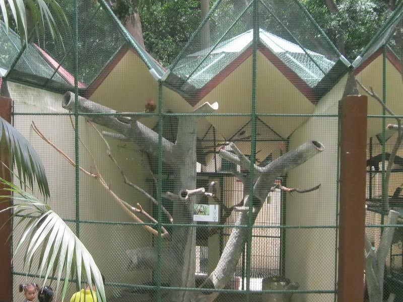 Aviario vacío