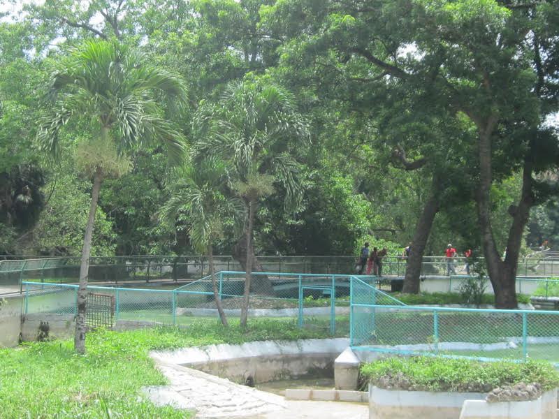La fauna invisible del Zoológico de&nbsp;26