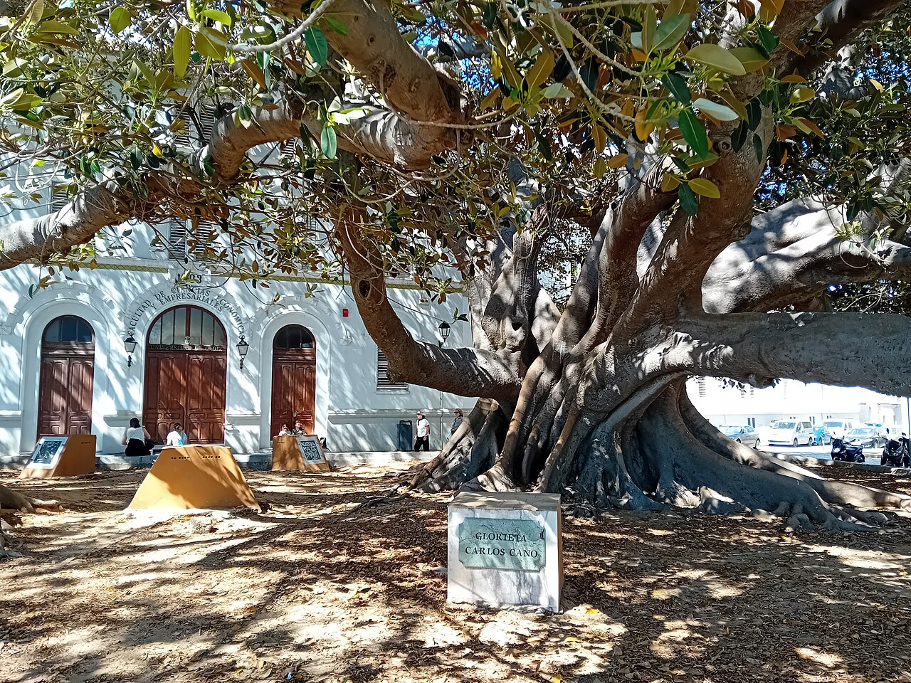 Glorieta Carlos Cano en Cádiz