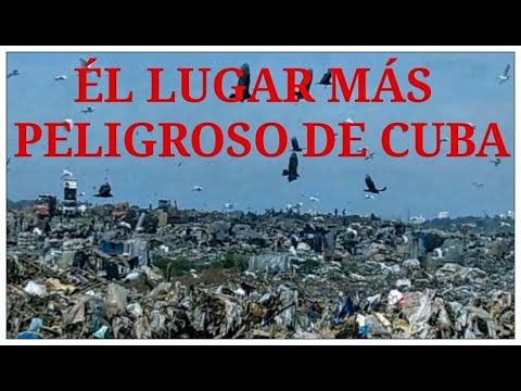 Cuba, el presente da miedo, el futuro&nbsp;asusta